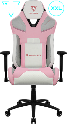 Кресло компьютерное игровое  TC5 MAX Limited Edition